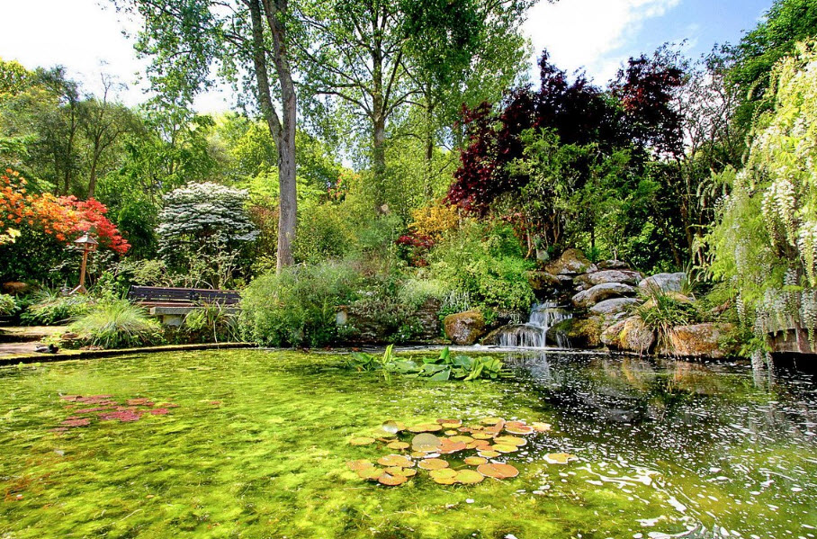 Arboretum / Pinetum Lucus Augusti, Spain